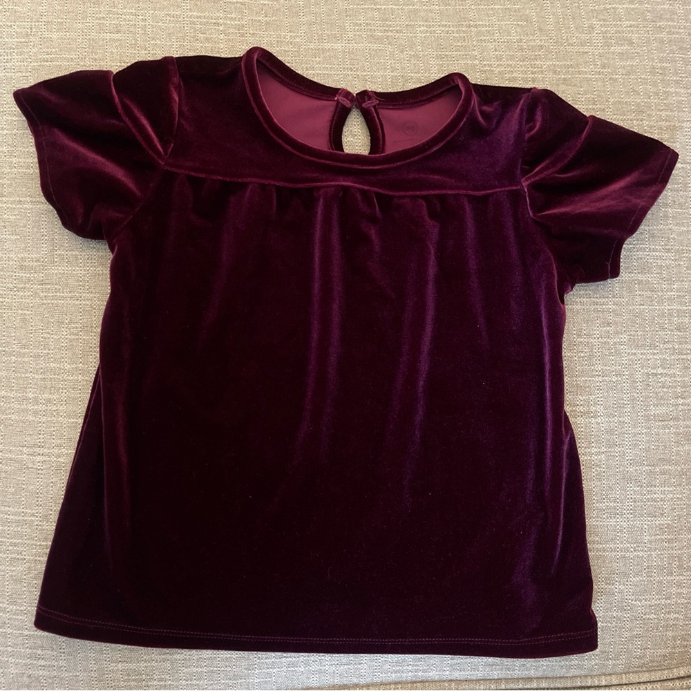 Plush Velvet Short Sleeve Top